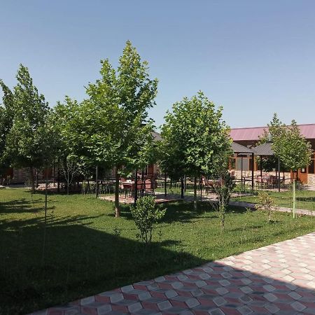 Seki Qonaq Evi Motel Екстериор снимка
